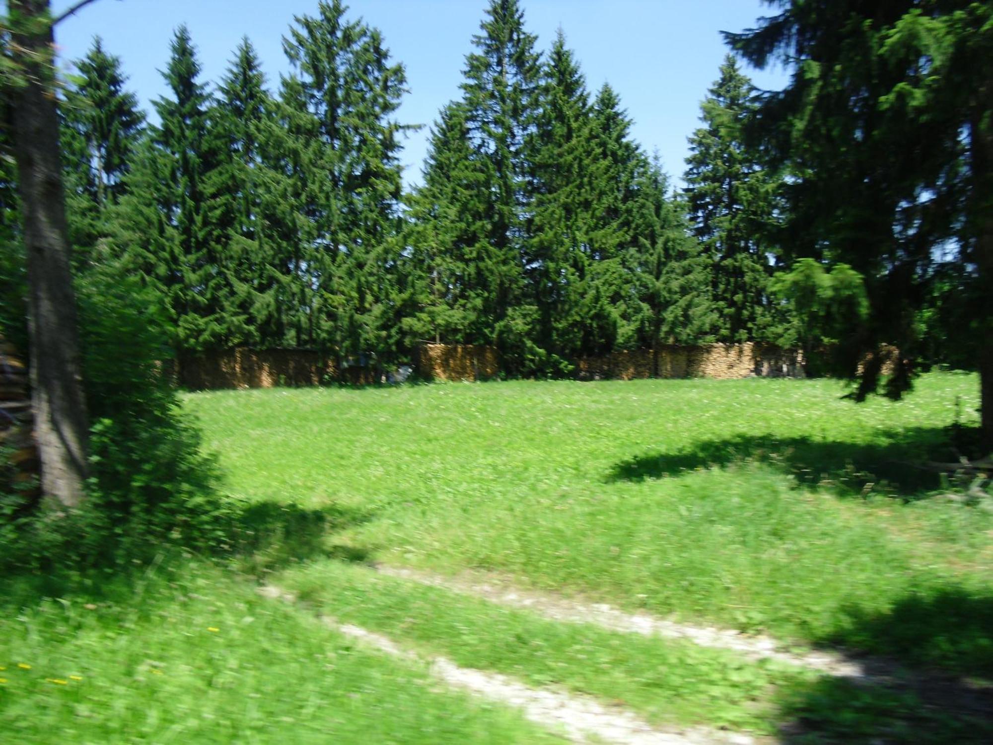 Casa Patrizia Appartement Schwangau Buitenkant foto